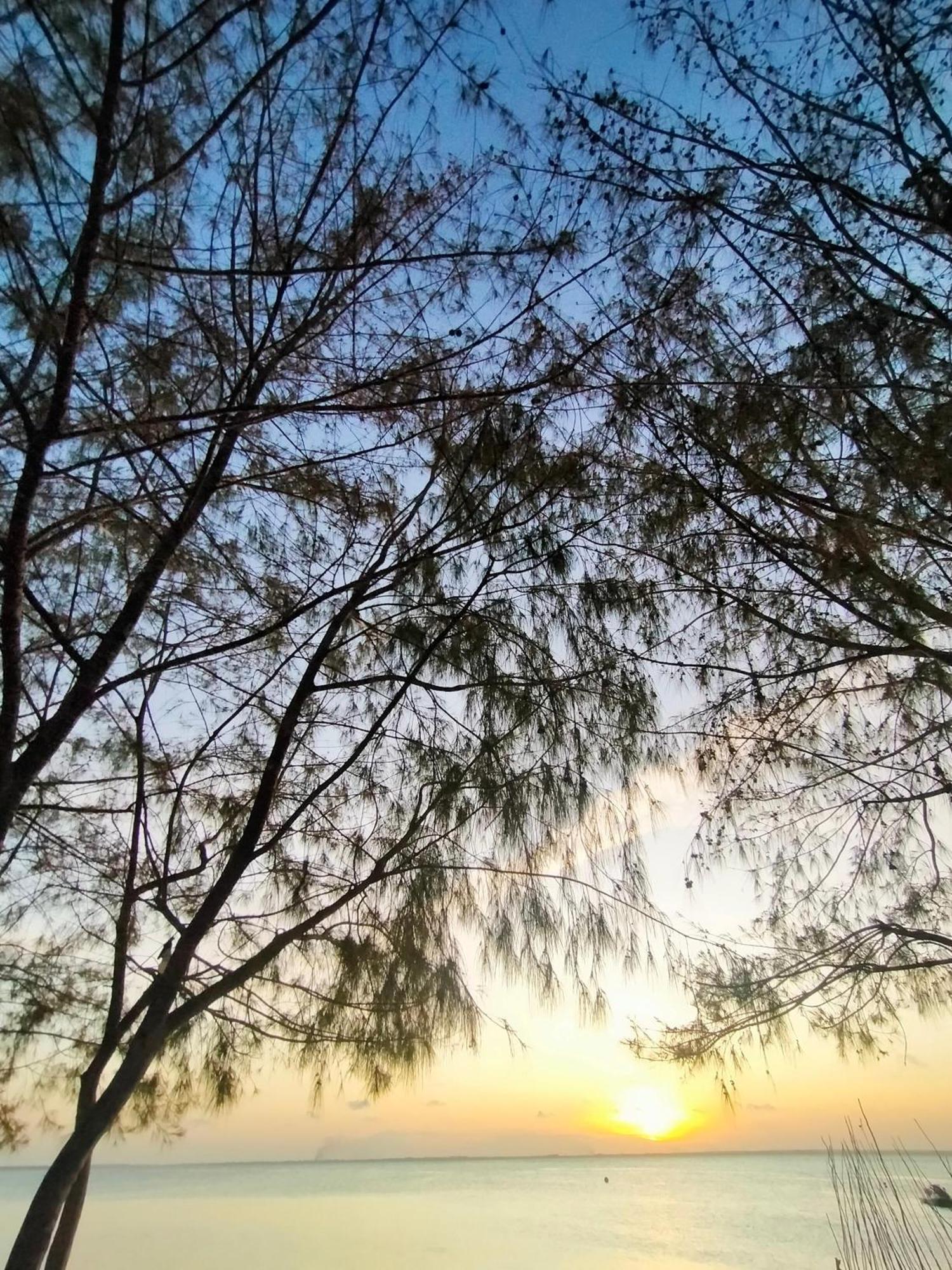 Eden Paradise Michamvi Kae Bagian luar foto